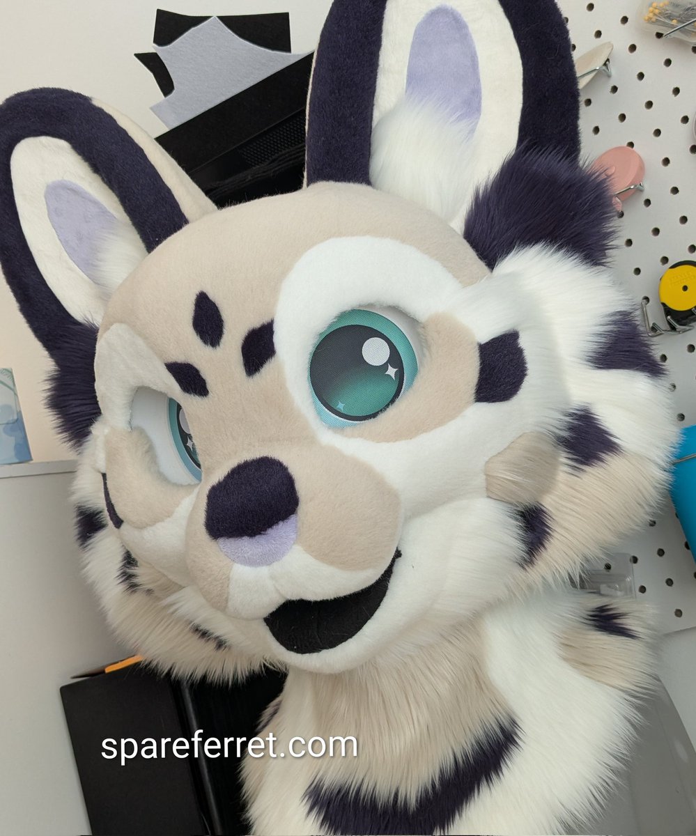 Spareferret Studio 🔜 FWA tweet media