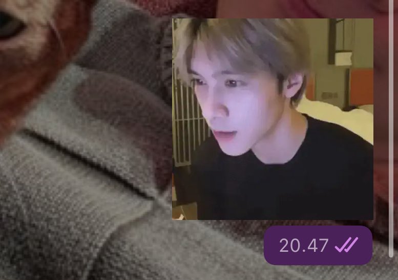 ⋆ rain ⋆ SO10³ tweet media