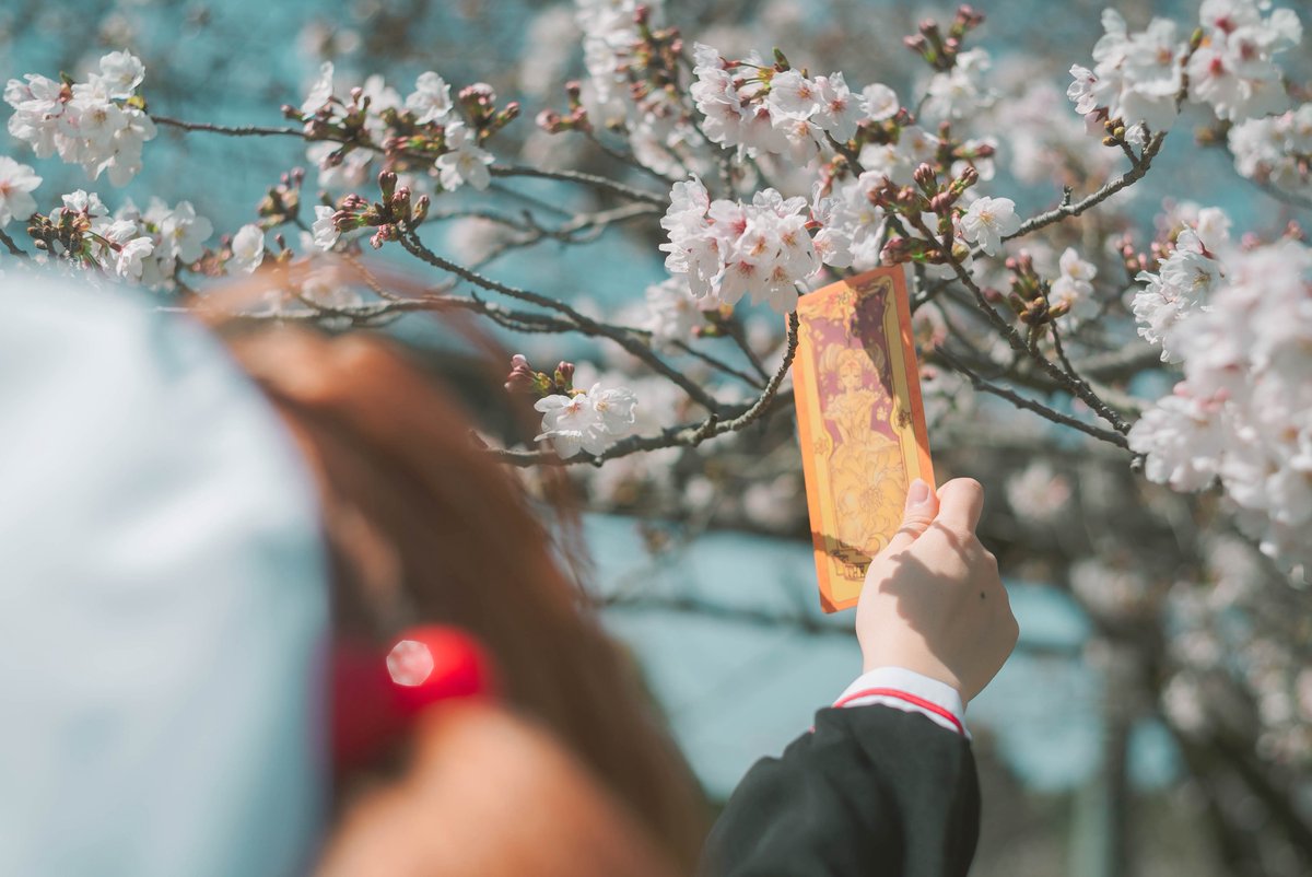 🌸･ ｡
　🌸∴｡　*
　 ✨･ﾟ*｡🌸･
 　｡❀·̩͙  ･ 🌸 ✨
　　　　 °*.* ｡❀·̩͙ˢ
　　 ･ ﾟ*｡･ﾟ✿｡
　　 レリーズ！！
　　🌸　🌸 ･✨°*.
　　　｡·*･｡ﾟ *.｡🌸｡ ✿
　　　　* ｡･ﾟ*.｡
　　　 　*　｡❀·̩͙꙳｡ ﾟ･✨🌸 * ｡
　　　  ･ ﾟ ｡🌸 .*･ﾟ･*.🌸:＋ﾟ｡:🌸