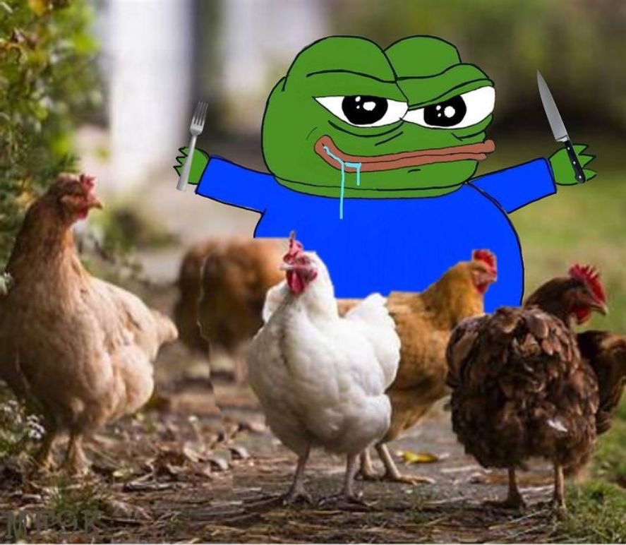 Bobi the Band tweet media