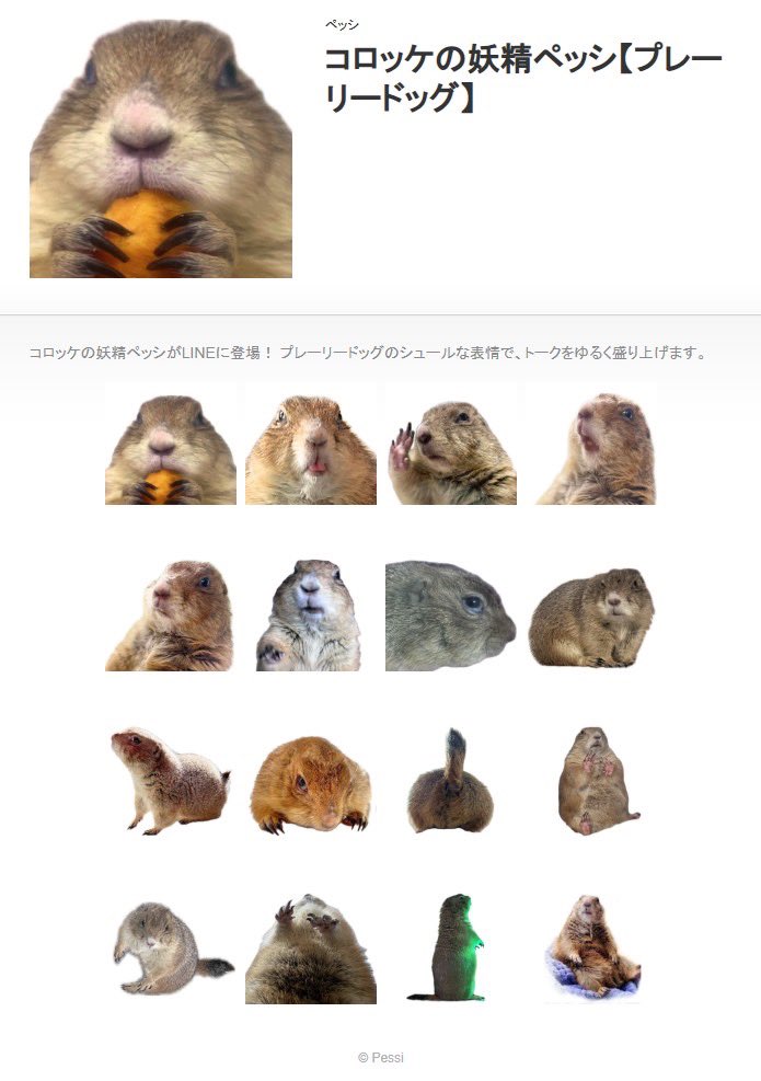 リック／Rick tweet media