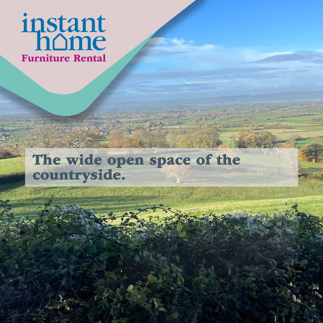 Instant Home tweet media