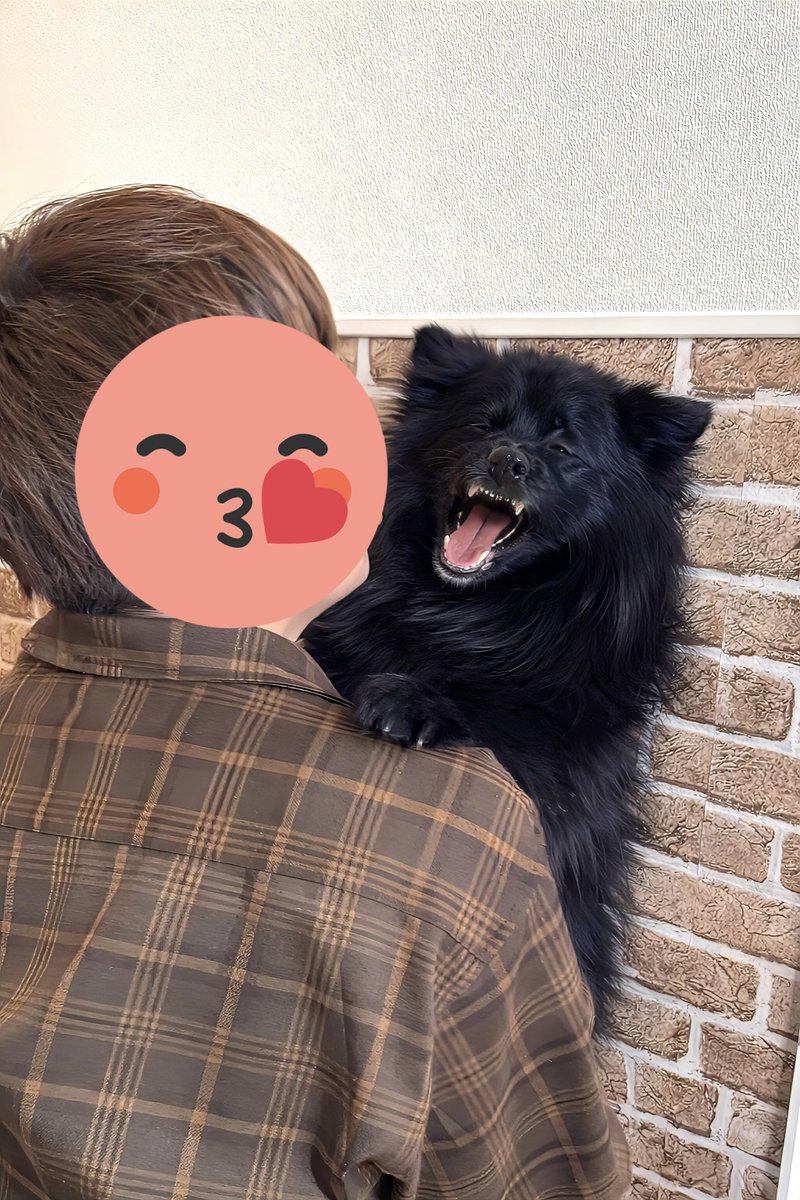 ちょーかっこいーぬ tweet media