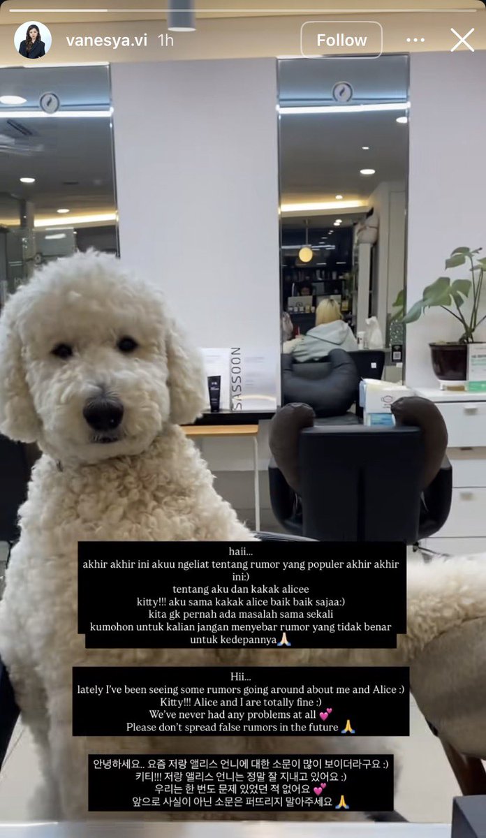 ⋆.𐙚rayya ᩚ tweet media