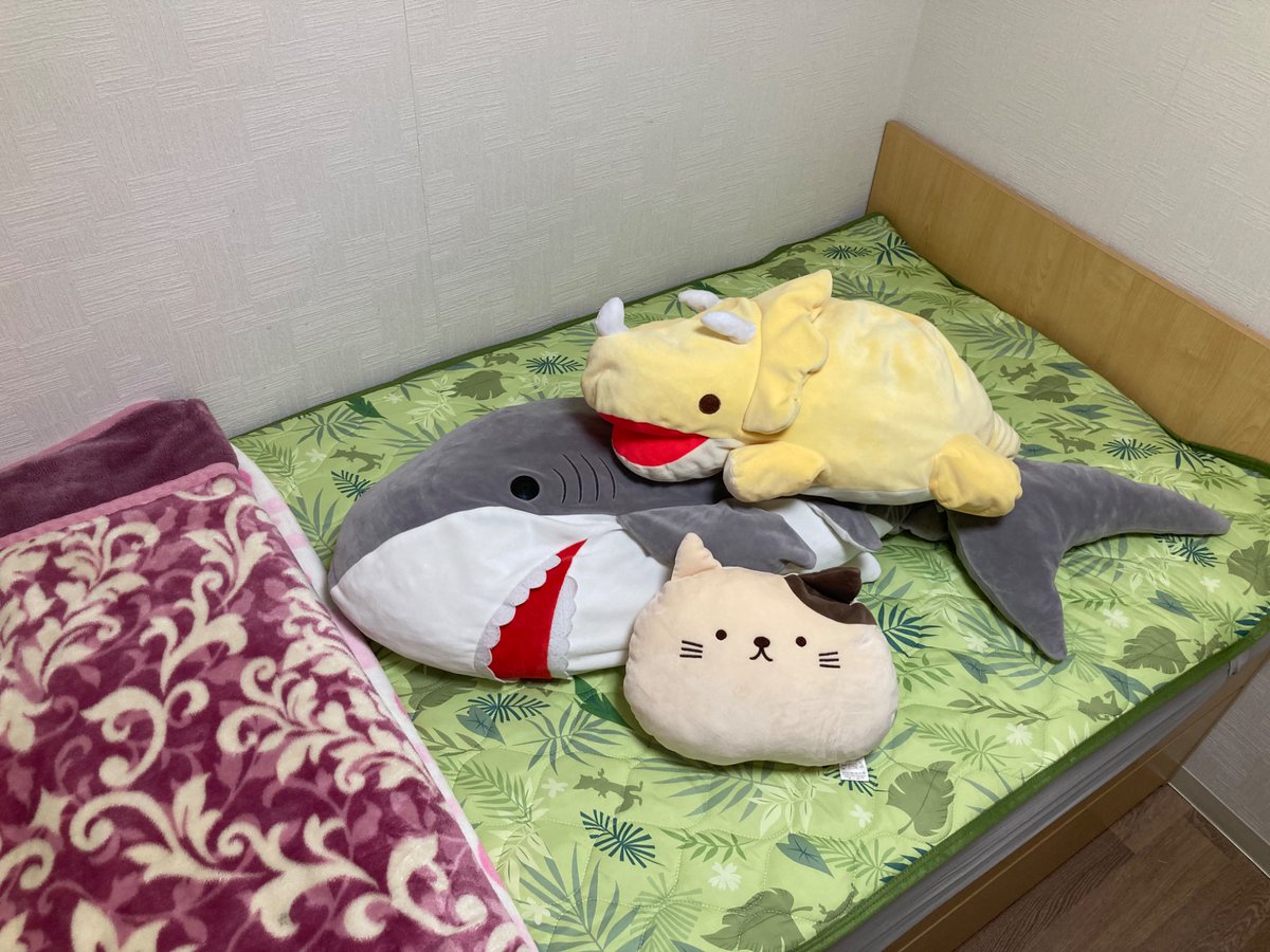 仁くん🥖☕️ tweet media