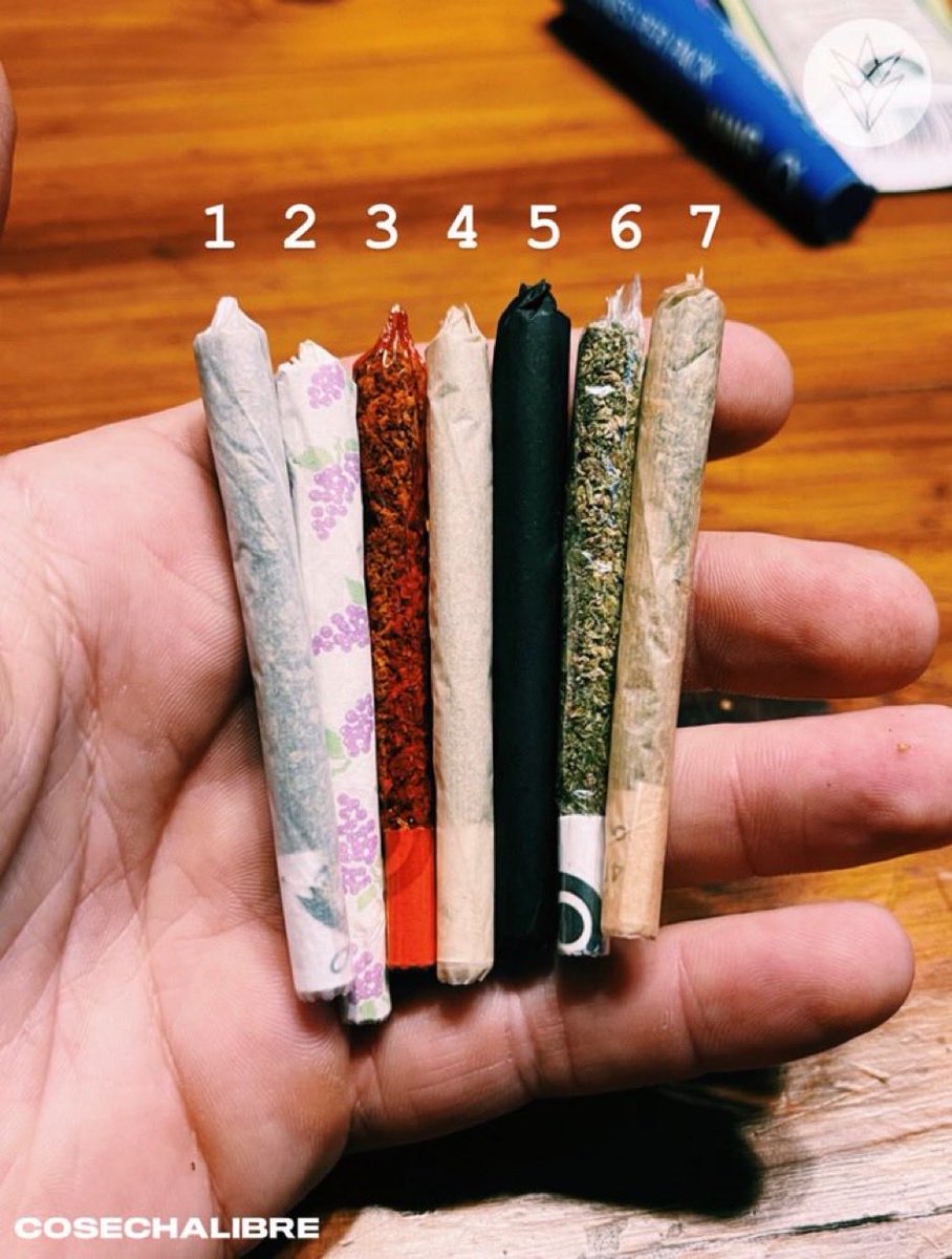 Stoner Barbie tweet media