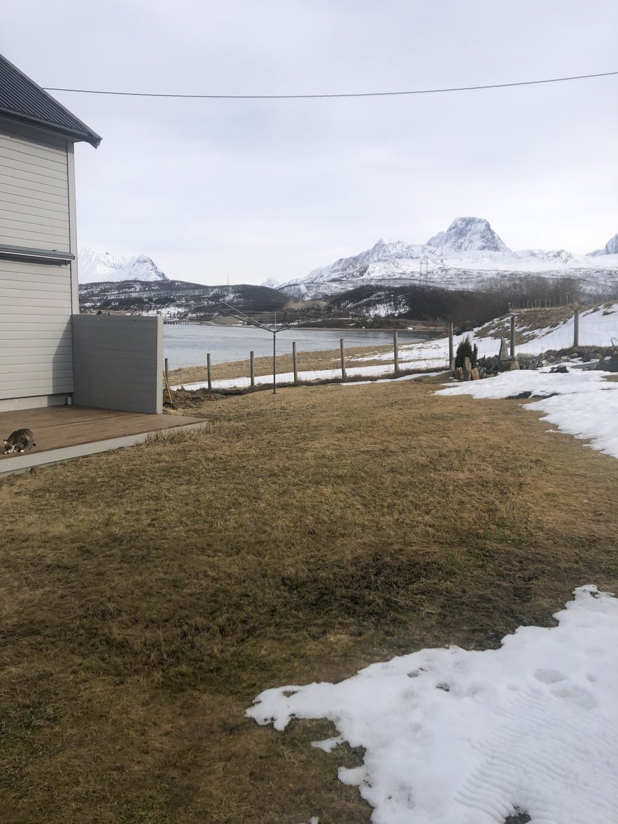 Simon Wood tweet media