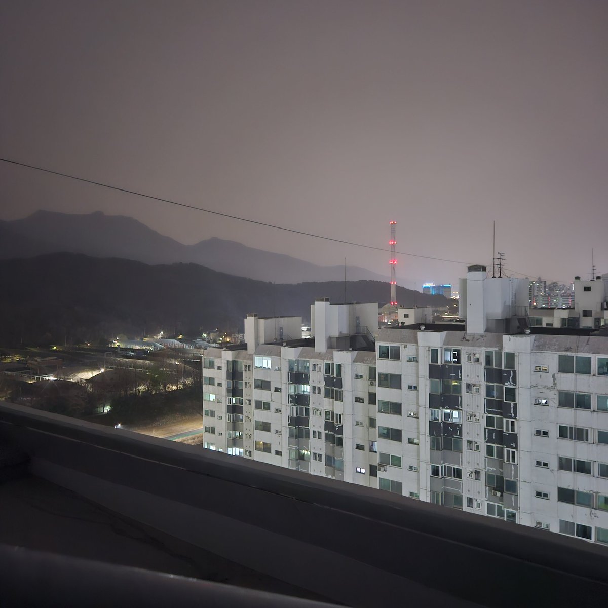 독없는독버섯 tweet media