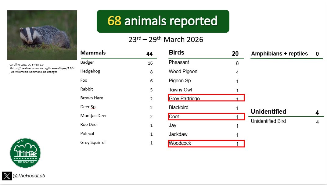 The Road Lab tweet media