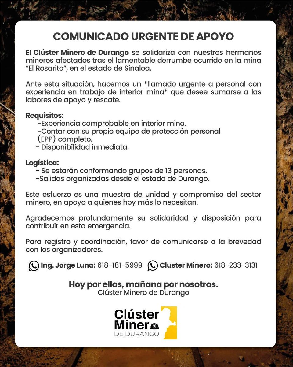 Comité Educativo de Minería México tweet media