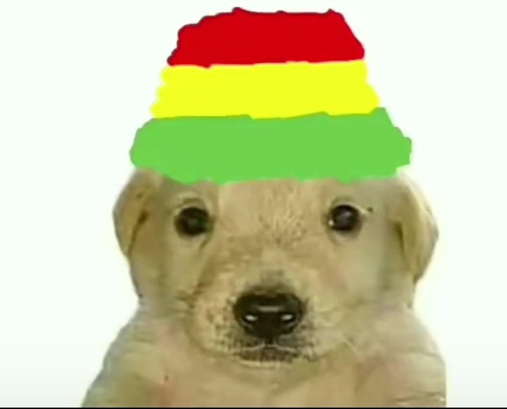 MrK0lla's tweet photo. Solo pido que Bolivia gane y que me beses bi abor https://t.co/fDzuJ7kzXL