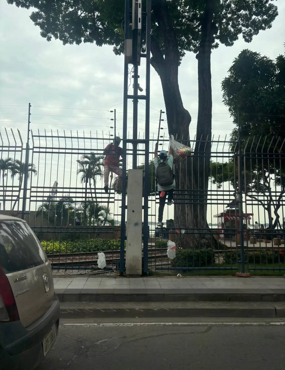 Atención GYE tweet media