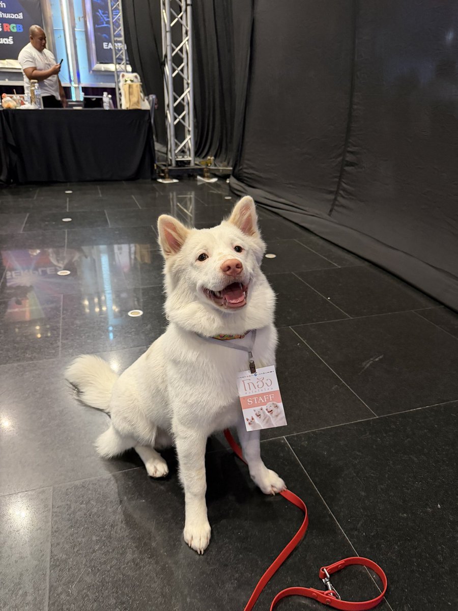 เหรี่ยง tweet media