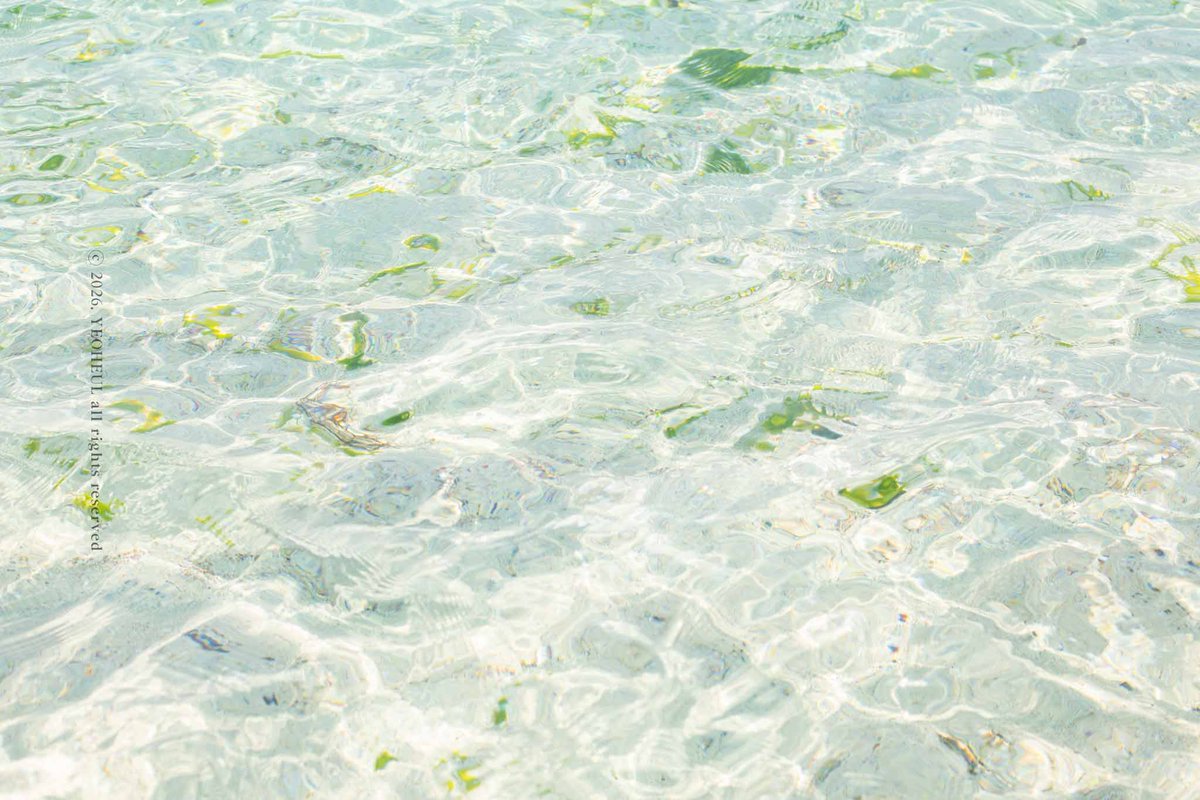 여흘🌊 사진 무단 저장 X tweet media