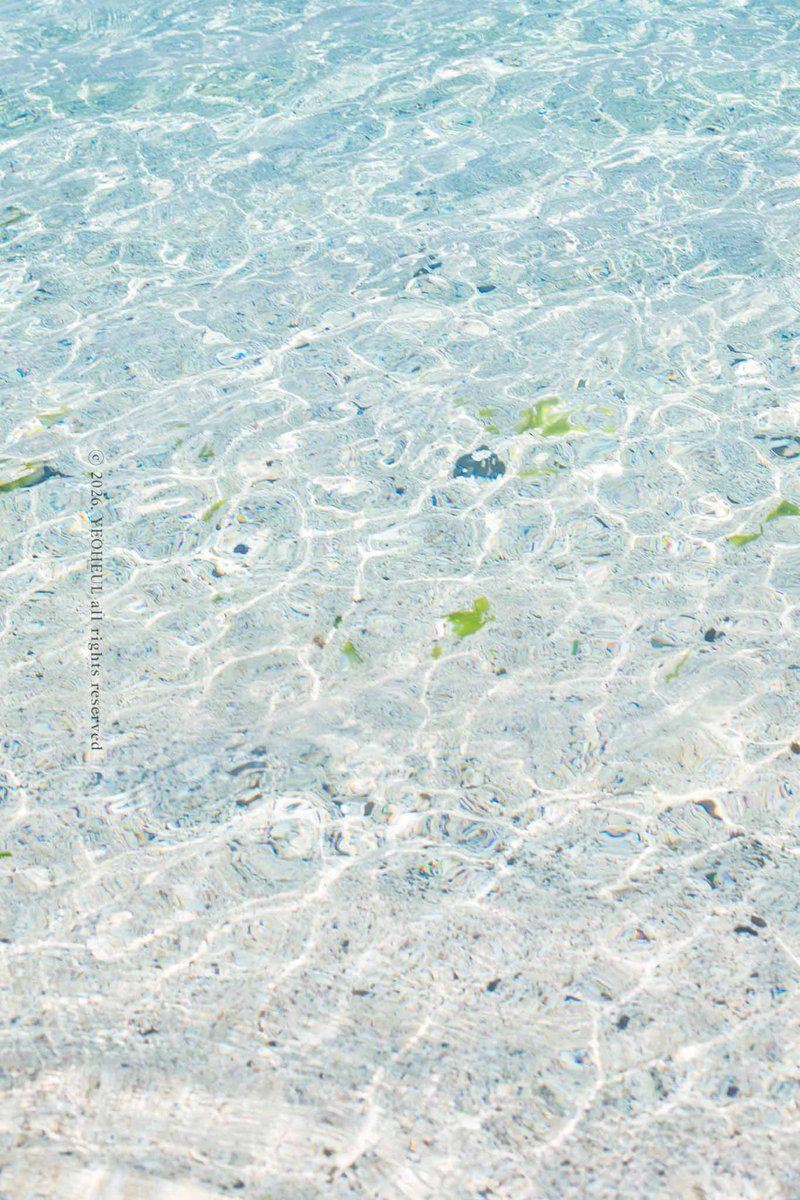 여흘🌊 사진 무단 저장 X tweet media