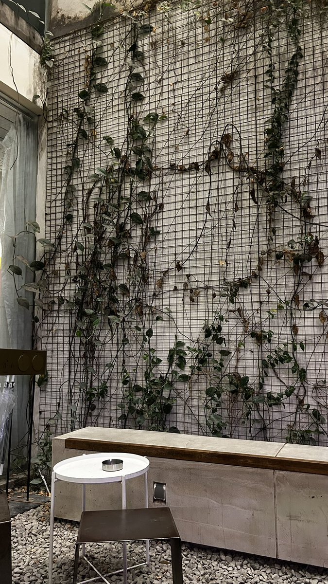 ig:yal.dii tweet media