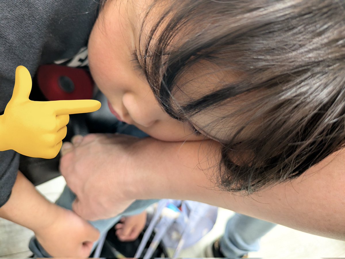 ドンボルカン山口♪みやドン tweet media