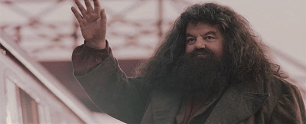 HPotterUniverse's tweet photo. Today we celebrate the birthday of the late Robbie Coltrane, who played Hagrid in the Harry Potter films. 

He sadly passed away back in October 2022. He was universally loved by all and we will continue to remember him. ❤️ https://t.co/f4aXLo4t2P