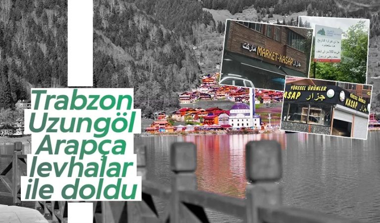 The₺ Design ✒️ tweet media