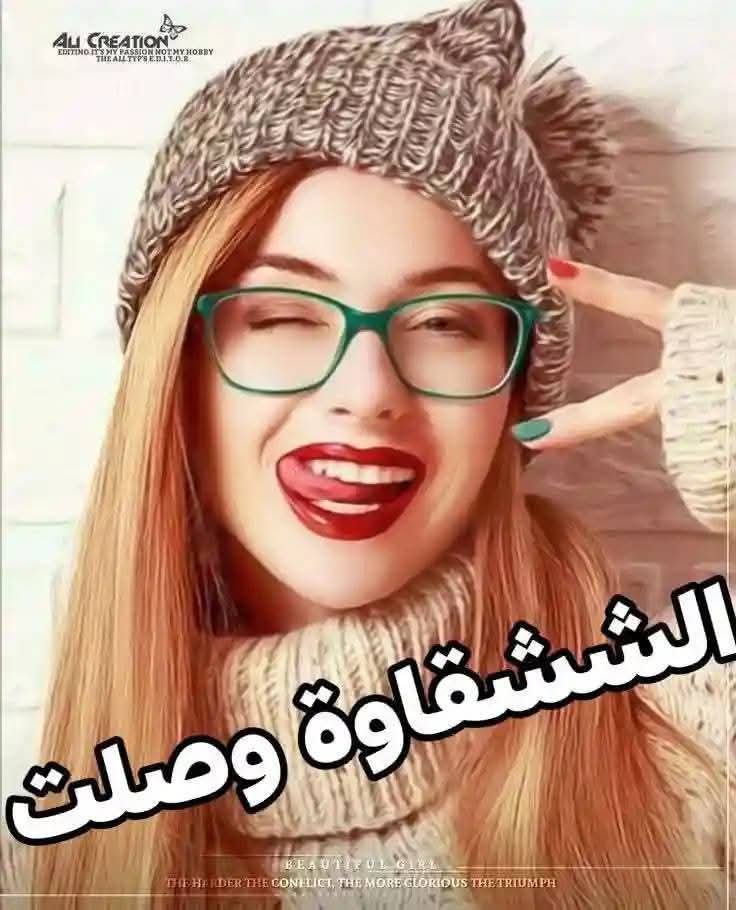 ألو أنا القطة tweet media