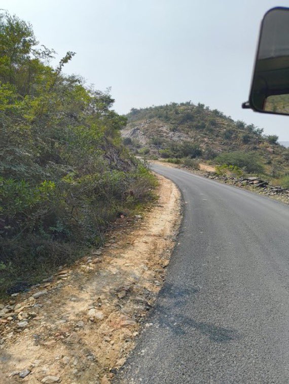 PKFC USA tweet media