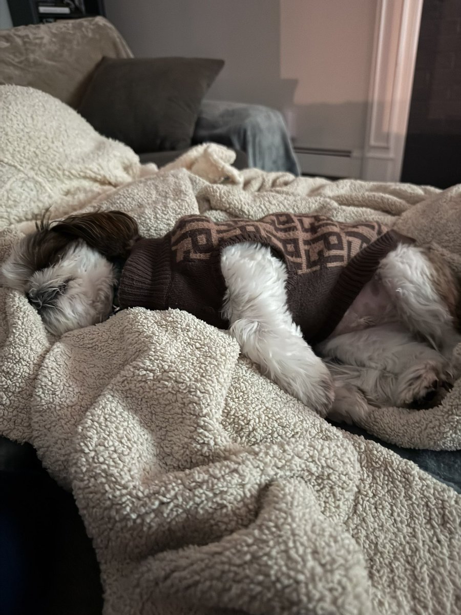 Dan Goldstein tweet media