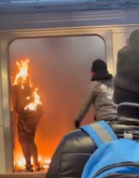 theusualfodder tweet media