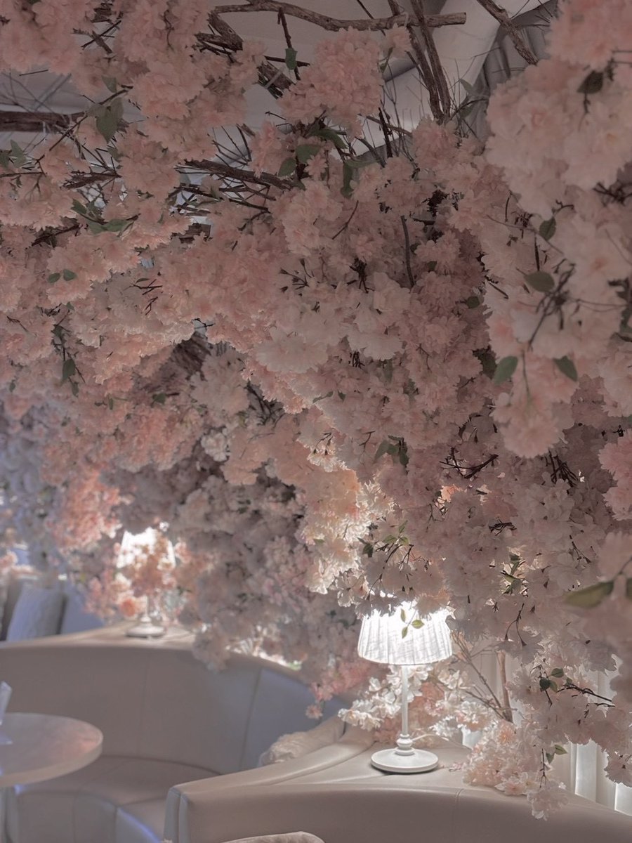 🎀🧸Ginger Garden AOYAMA ジンジャーガーデン tweet media