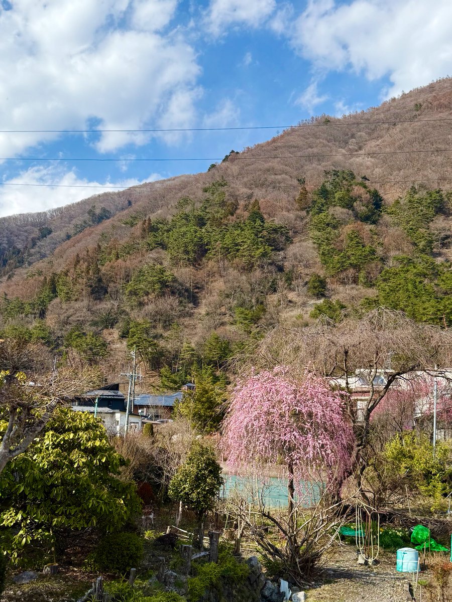 KT/けーてぃー tweet media