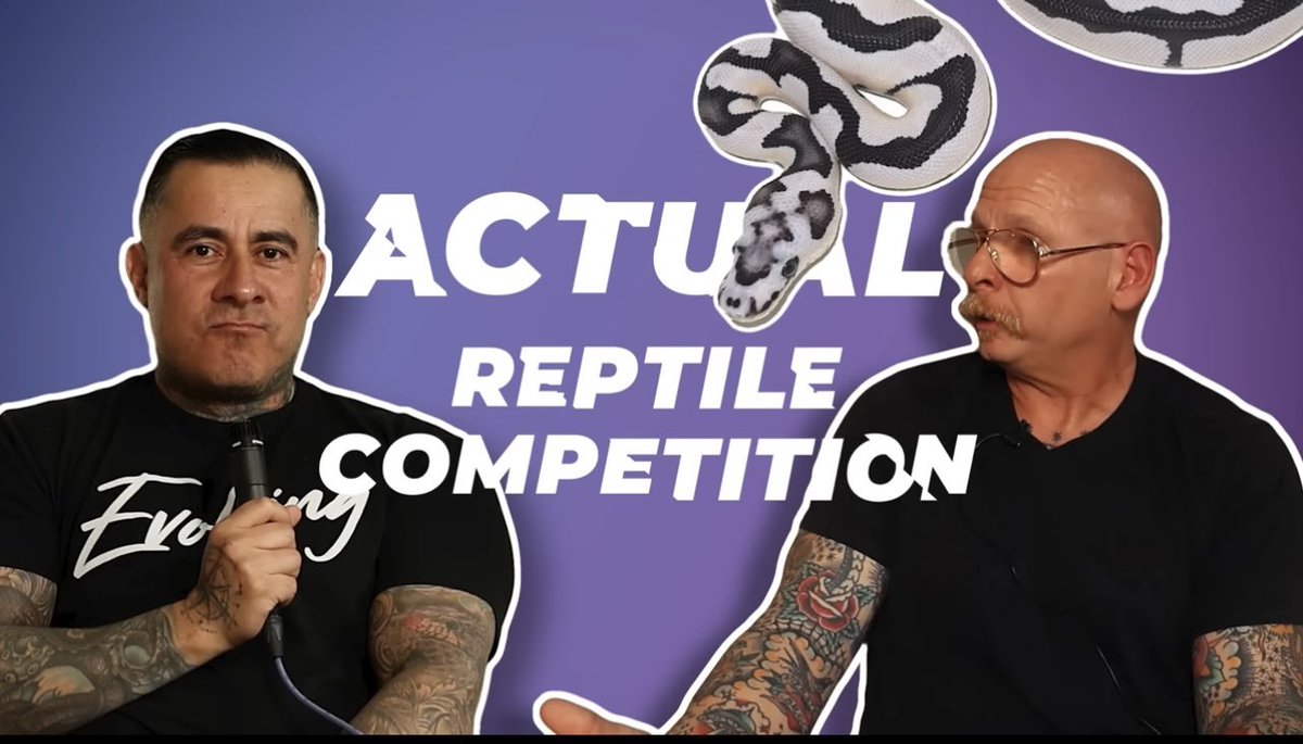 SPIRAL Python Works 公式 tweet media