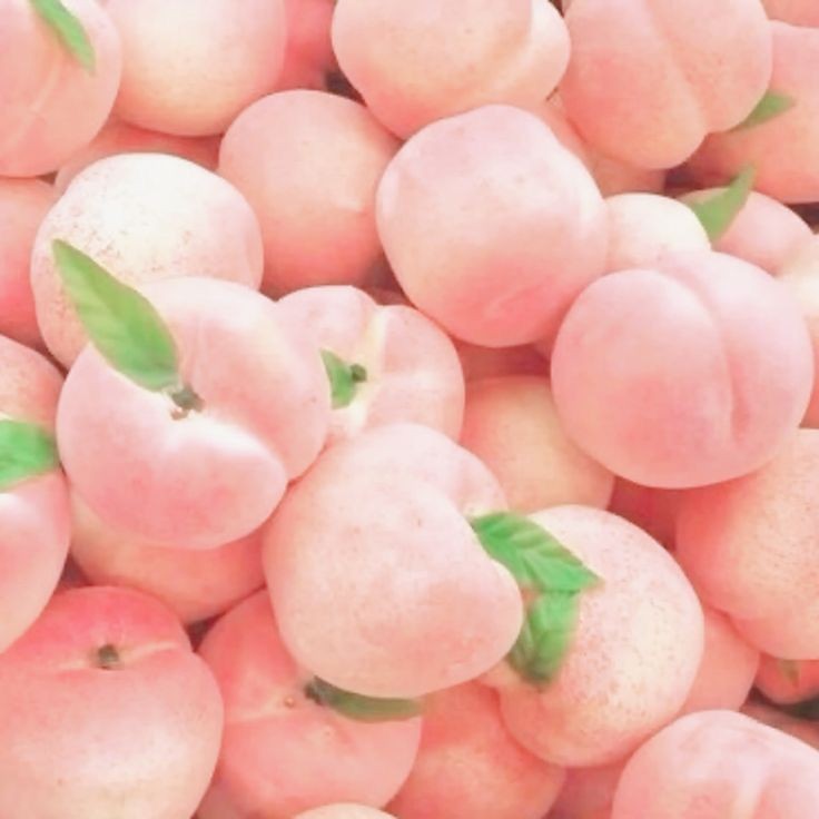 ♋︎ Ᏼꭺꭲꭼꭱꭺ ☕︎ tweet media