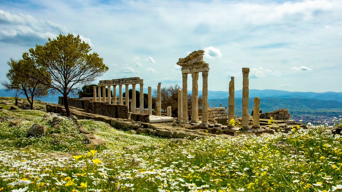 Turkish Museums tweet media