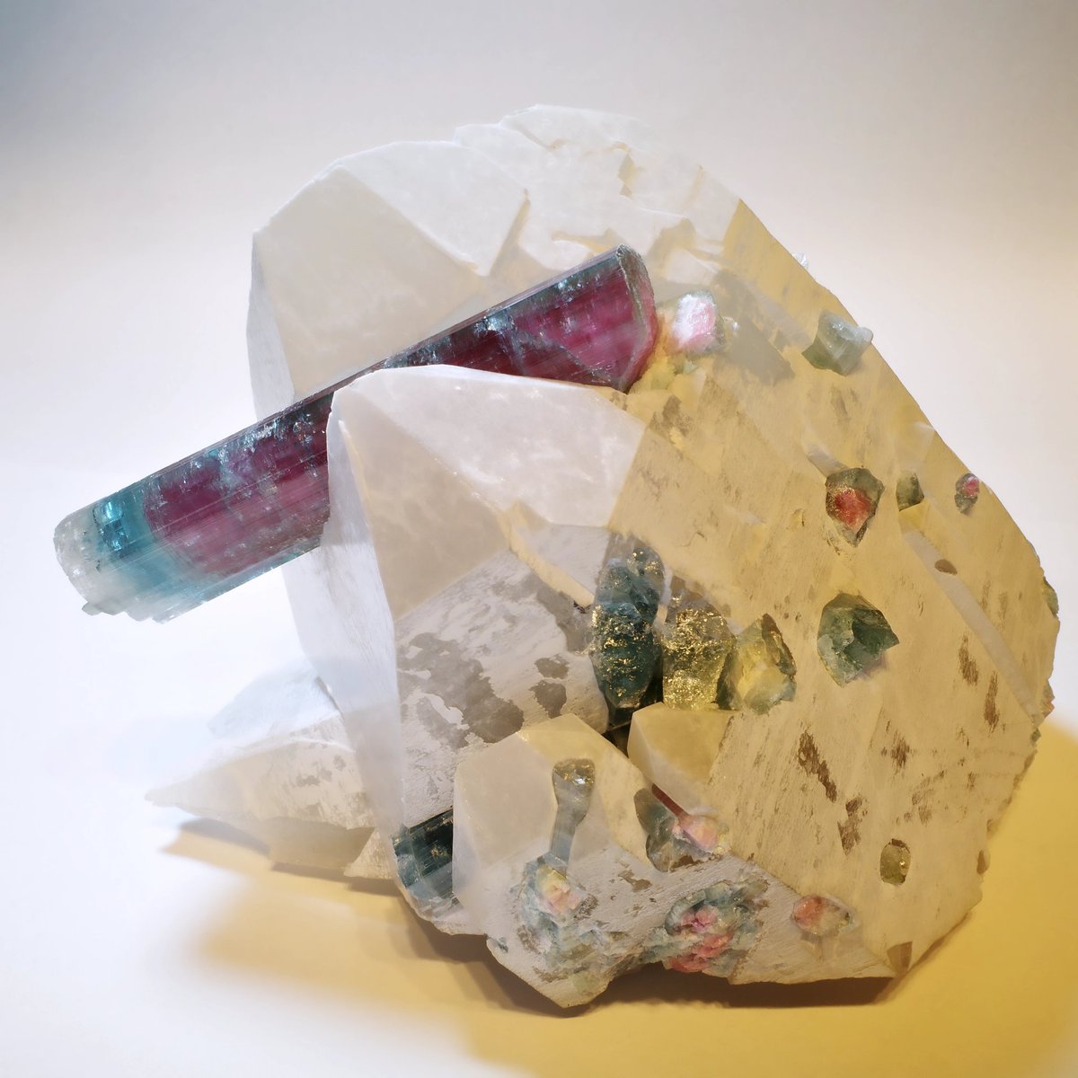 Mbay(えむべい) tweet media