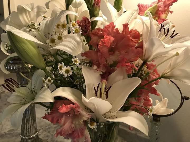 •☆• tweet media