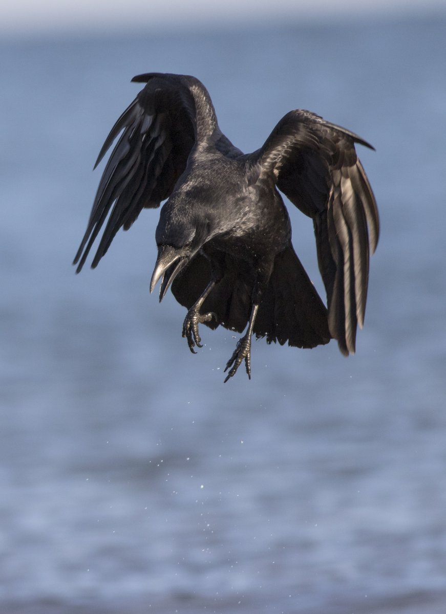 宮本 桂 tweet media