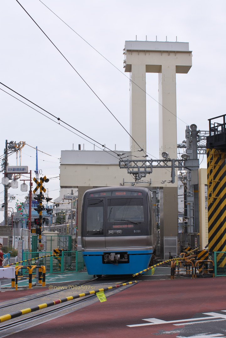 きたきた tweet media