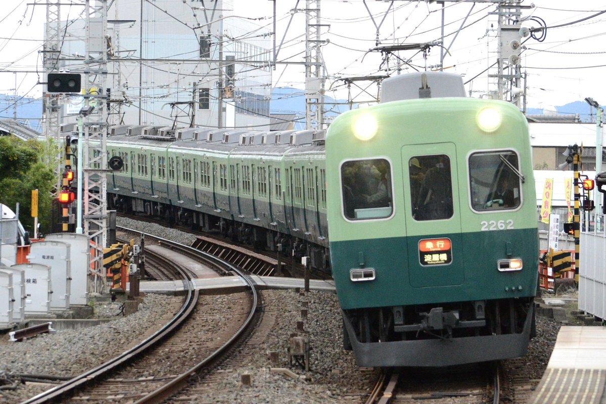 ✨*:.｡. forest .｡.:*✨ tweet media