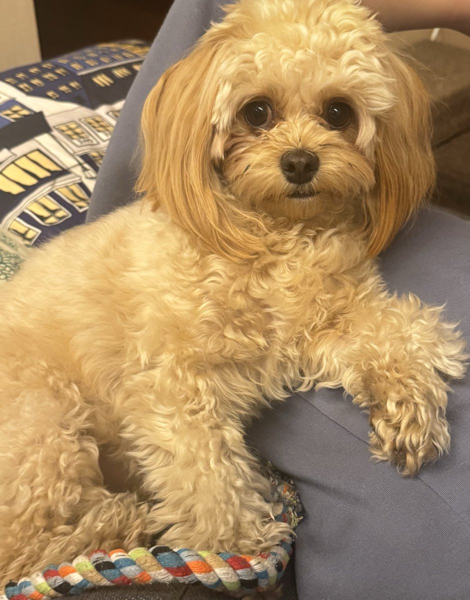 Ujico*/Snail's House tweet media