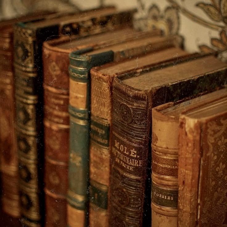 Luca ♡ shinku’s bunny tweet media