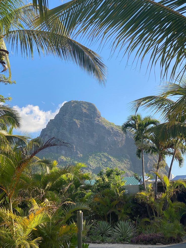 𝑙𝑦𝑟𝑎 tweet media