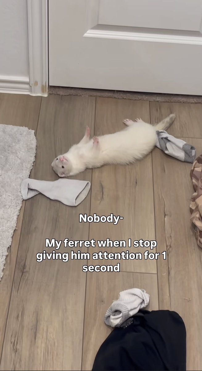 drarry fiend tweet media