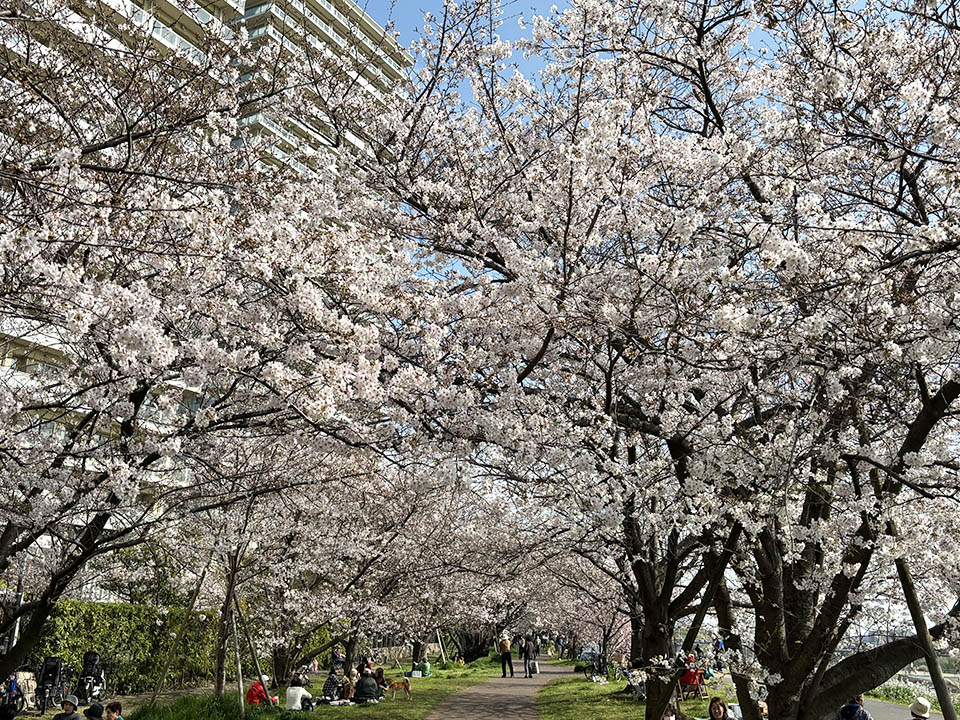 おーたふる／大田区商店街連合会 tweet media