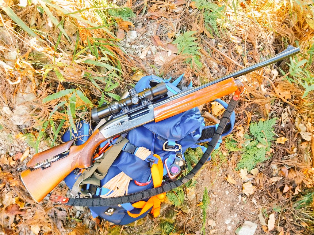 きぃ　@　清　純　派　♂ tweet media