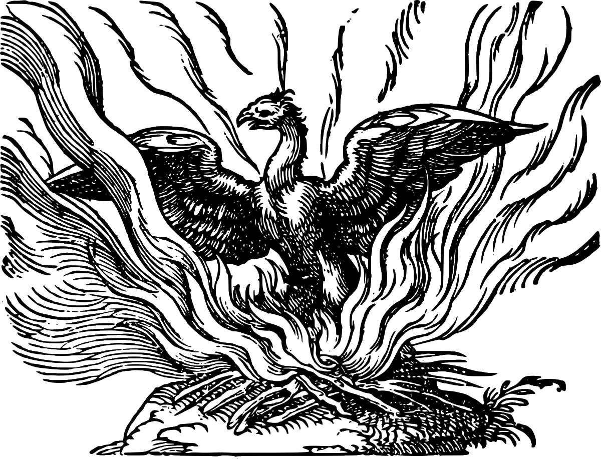 Christopher's Bar Exam tweet media