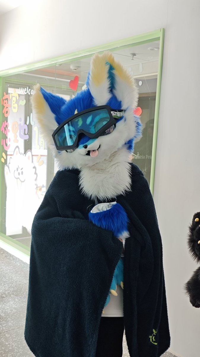 碧影Zeagle🔜南京 tweet media