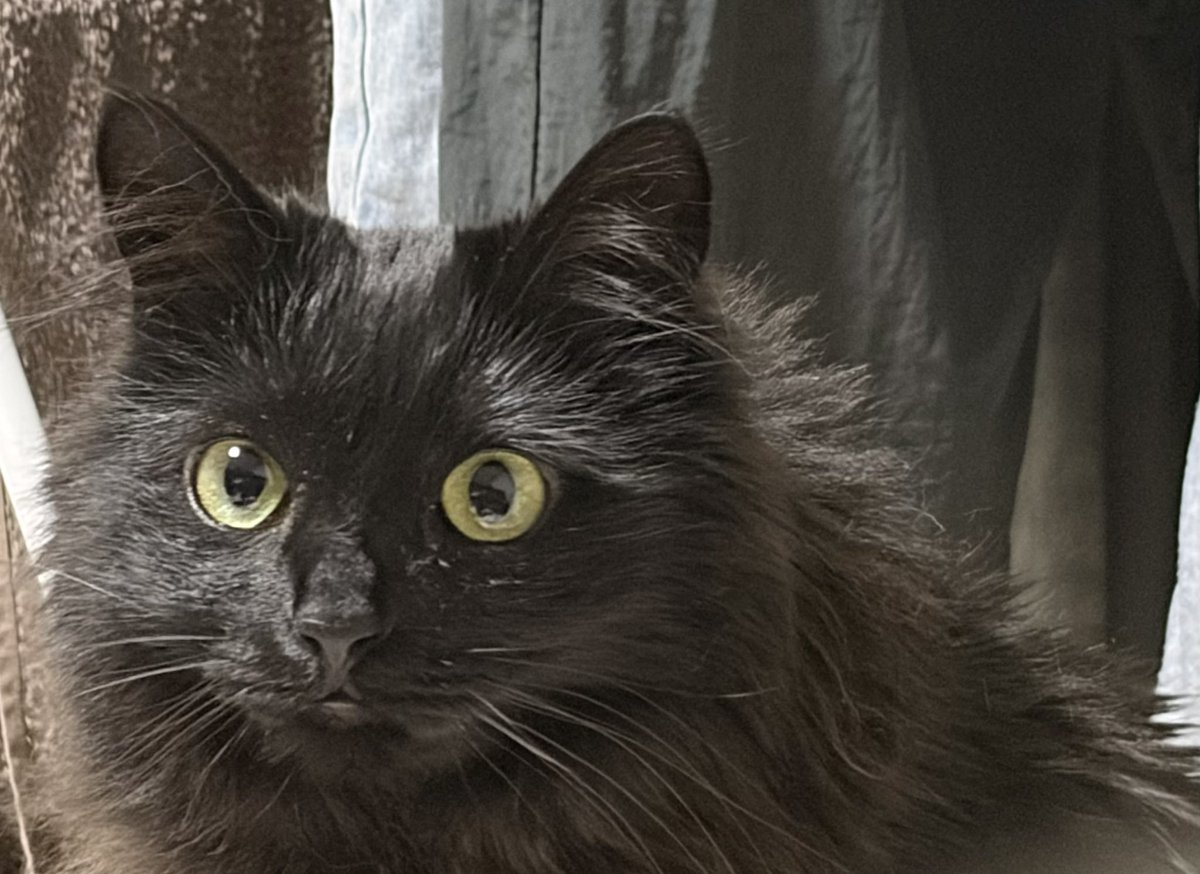 제로 콜라🥤 tweet media