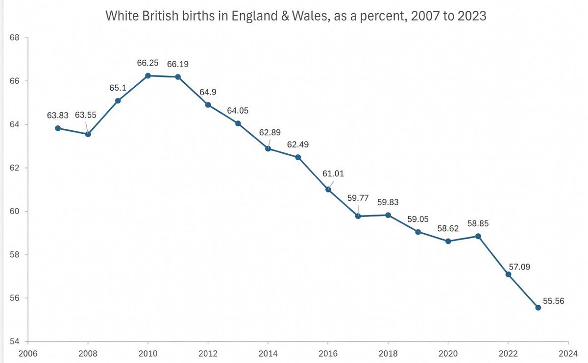 Wolf 🐺 tweet media