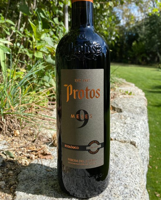 Bodegas Protos tweet media