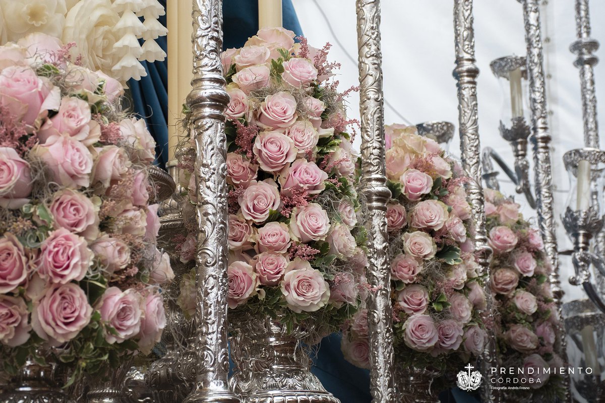 PrendimientoCor's tweet photo. Por su parte, Nuestra Sra. de la Piedad cuenta con un exorno floral en tonalidades rosas. Las jarras se componen de rosas, solidago, pittosporino, pittosporum y tillandsia. En el friso, además, encontramos orquídeas y hortensias. Asimismo, en los violeteros aparecen rosas spray. https://t.co/0Ef9RhQh5r