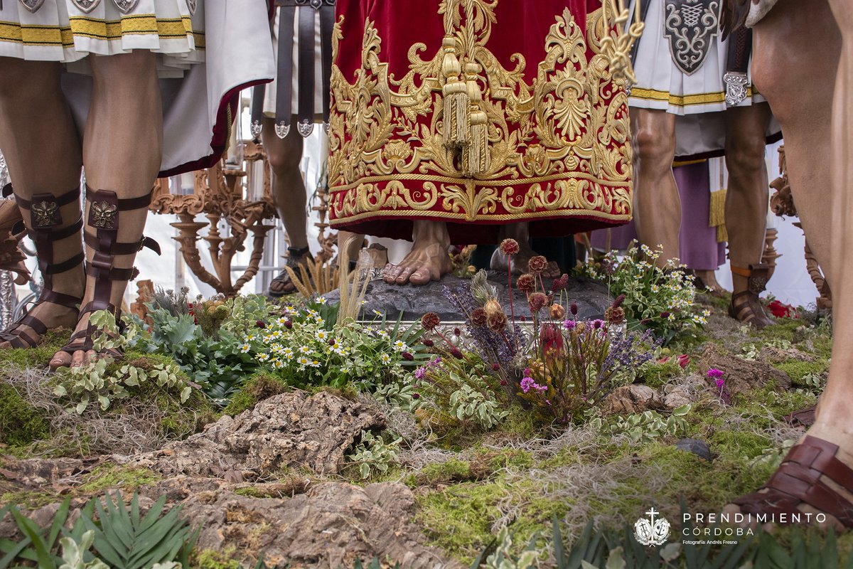 PrendimientoCor's tweet photo. @salescordoba @HSalesianas @andaluciacof @retablosdpasion @CofradiasAND @Gentedepaz @PrendimientoGJ @SentirCordoba @procesionescord El suelo del paso de misterio cuenta un año más con una nutrida decoración. Así, por ejemplo, a los pies del Divino Salvador, que es fuente de vida y toda santidad, brotan la manzanilla, la lavanda, las proteas, trigo, pleum y scabiosa. https://t.co/ZQylpIn0va